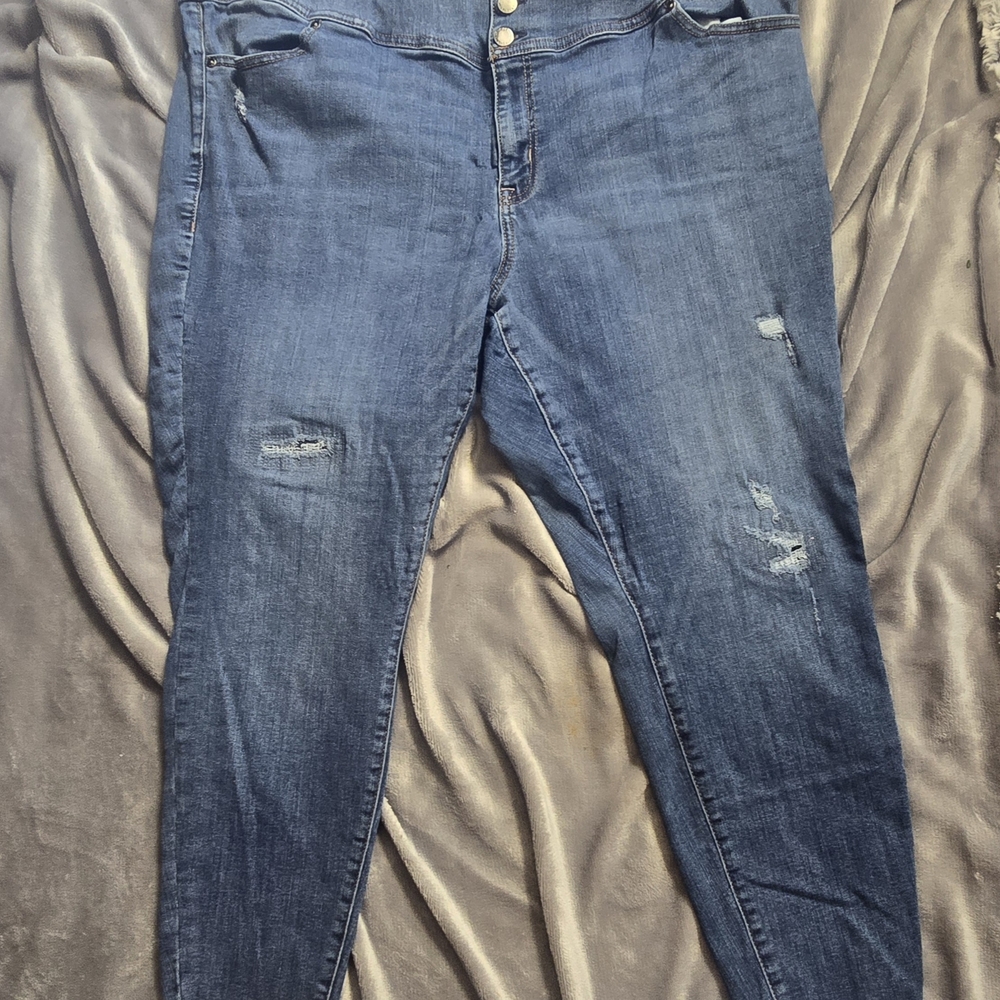 Classic Distressed Denim Skinny Jeans